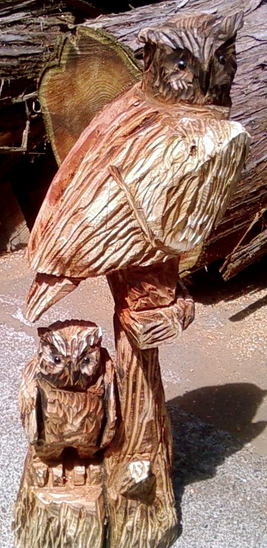 2011-06-23-Owls-Chainsaw-Carving-Two-Owls-2.jpg