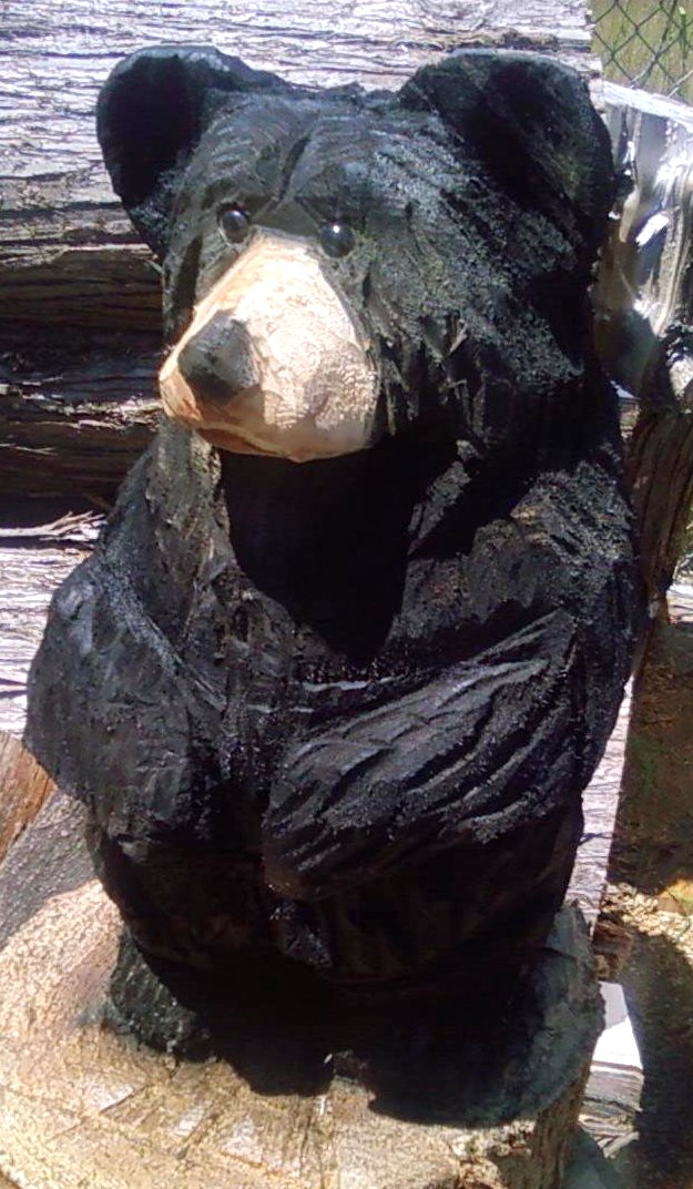 2011-07-01-Bears.jpg