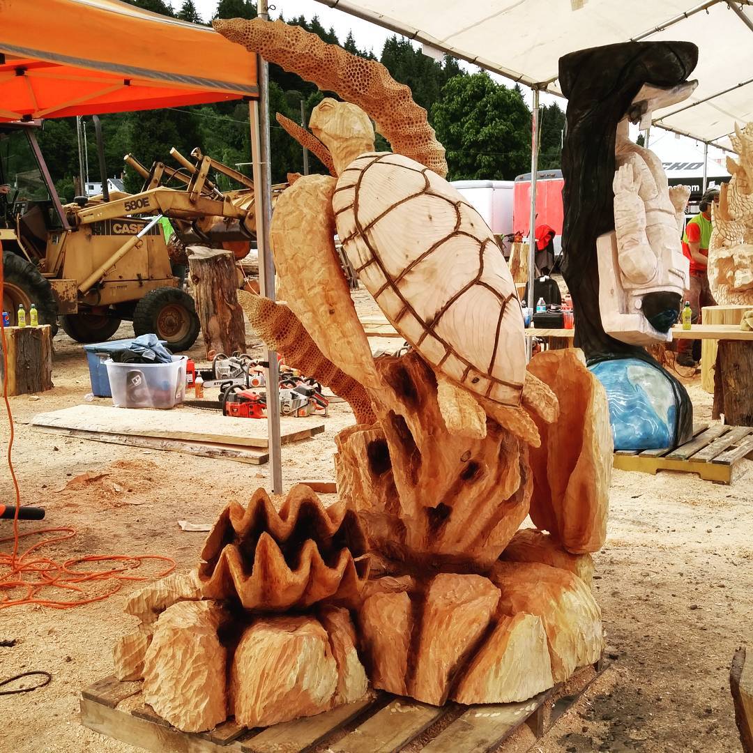 2016-06-19-ReedsportTurtle-2016-Reedsport-Chainsaw-Carving-Turtle.jpg